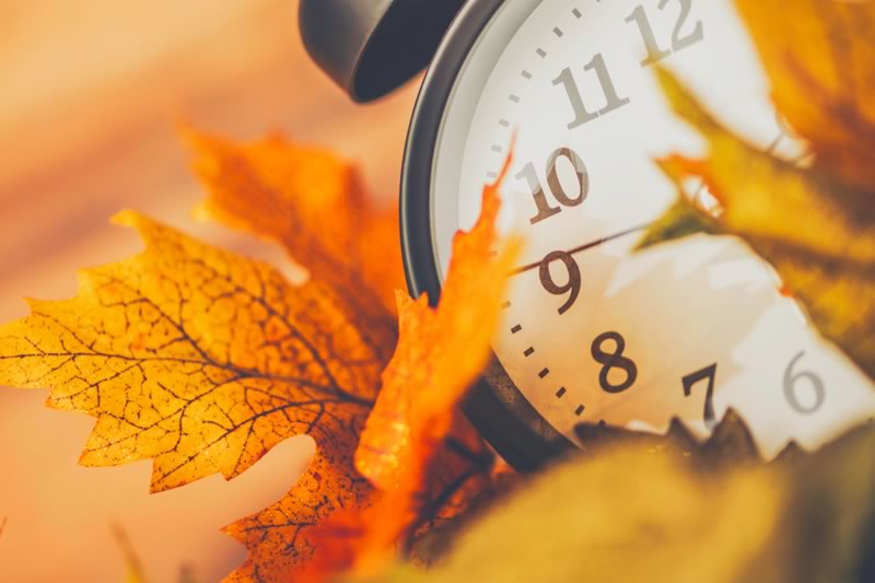 clock hidden in autumn leaves