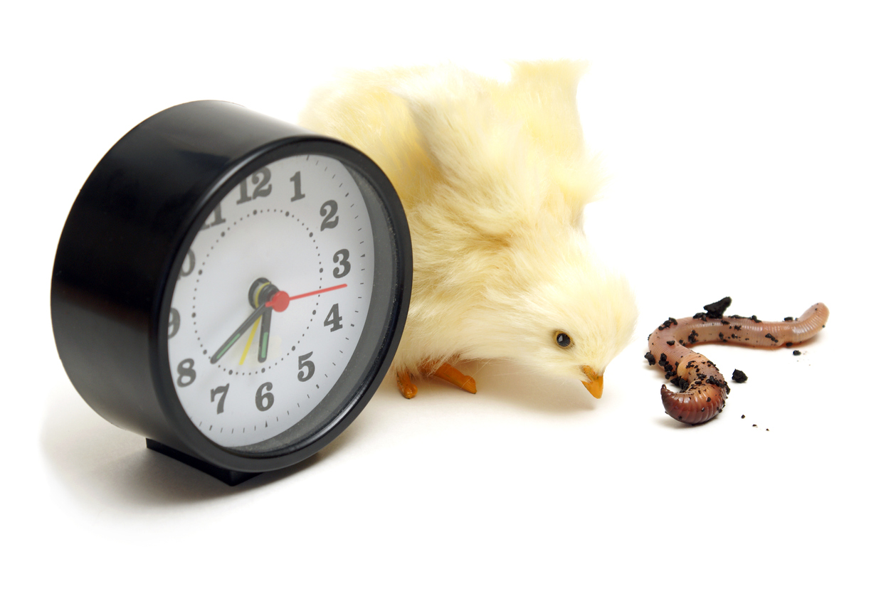 Bird and worm next to a clock representing early bird catches the worm