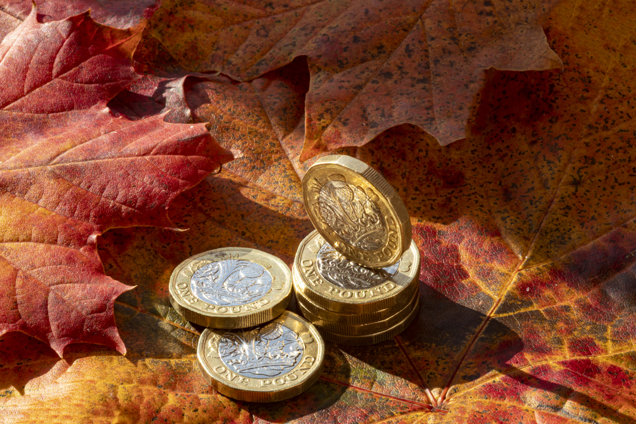 Pound coins resting on pile of autumnal leaves