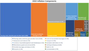 Graph illustrating 2022 inflation components