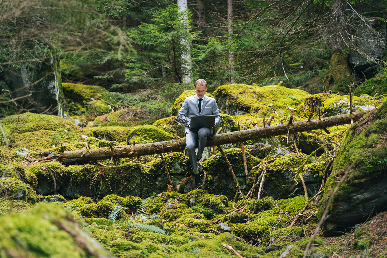 Business man with laptop sitting on a log in a forest