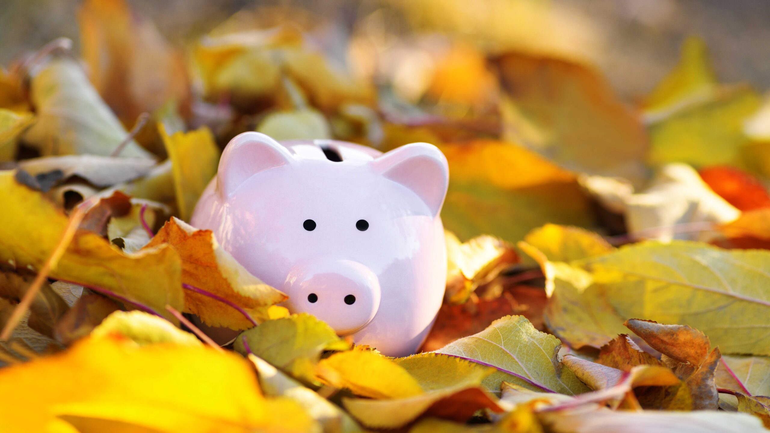 As summer fades, an Autumn Budget looms…